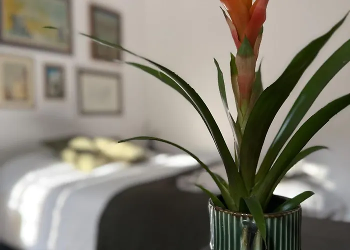 La Palma Al Vaticano Apartamento *